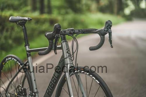 Ribble Endurance AL ficha técnica y opiniones